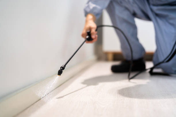 Licensed Exterminator service in Oakland, OR - Show Me Pest Control